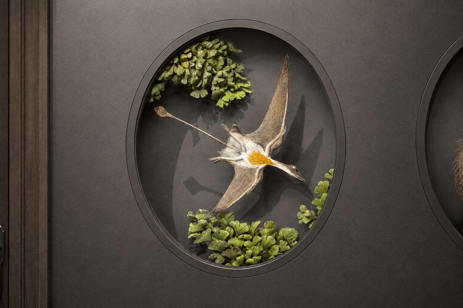 Eudimorphodon