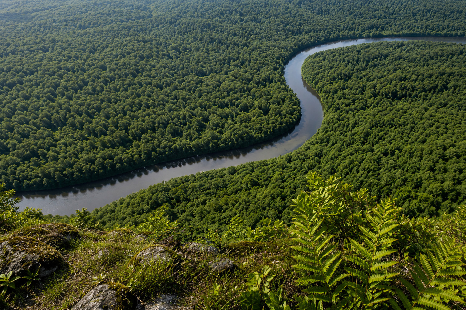 The Western River
